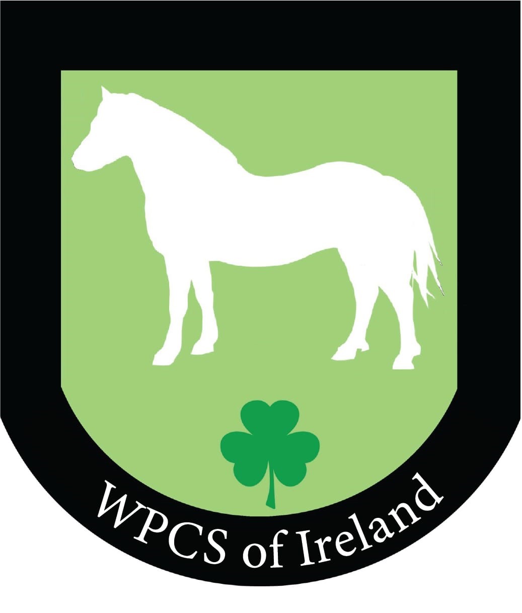 default product image